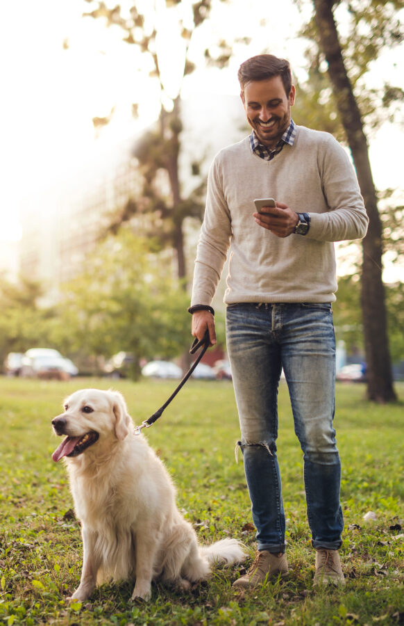 Man standing in park with his dog and looking at phone